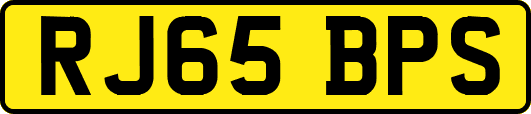 RJ65BPS