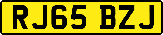 RJ65BZJ