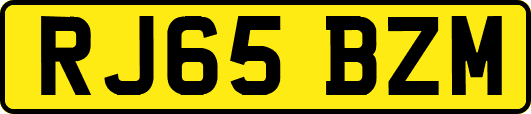 RJ65BZM