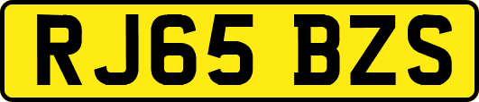 RJ65BZS