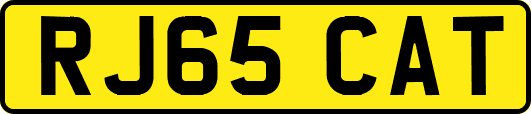 RJ65CAT