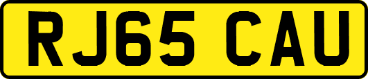 RJ65CAU