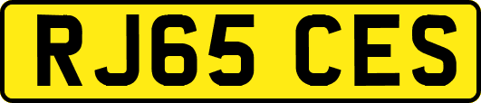 RJ65CES