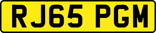 RJ65PGM