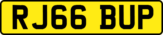 RJ66BUP