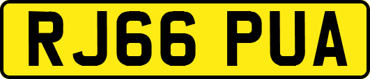 RJ66PUA