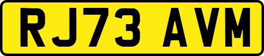 RJ73AVM