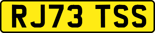 RJ73TSS