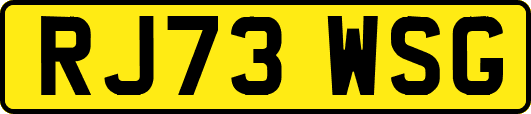 RJ73WSG