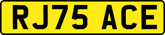 RJ75ACE