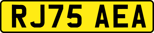 RJ75AEA