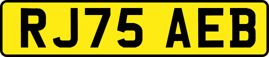 RJ75AEB