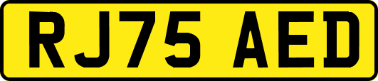 RJ75AED