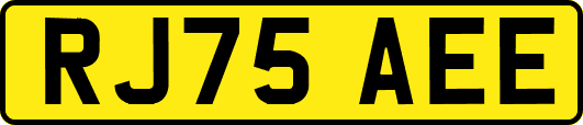 RJ75AEE