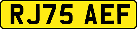RJ75AEF