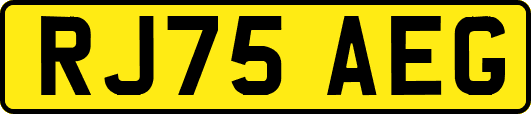 RJ75AEG