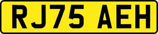 RJ75AEH