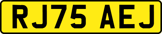 RJ75AEJ