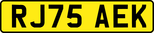 RJ75AEK
