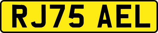 RJ75AEL