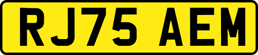 RJ75AEM
