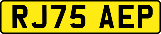 RJ75AEP