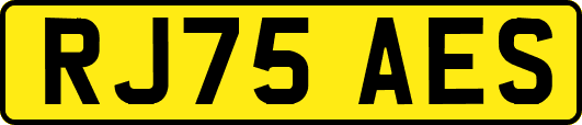 RJ75AES