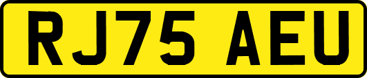 RJ75AEU