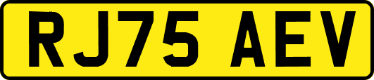 RJ75AEV