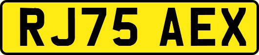 RJ75AEX
