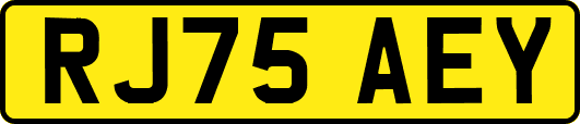 RJ75AEY