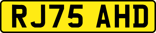 RJ75AHD