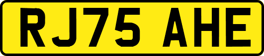 RJ75AHE
