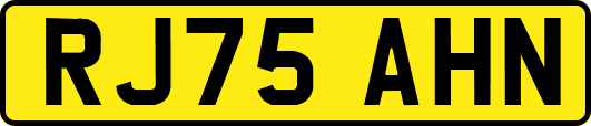 RJ75AHN