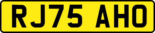RJ75AHO
