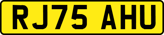 RJ75AHU