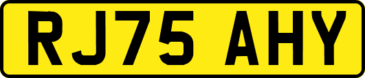 RJ75AHY