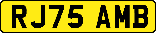 RJ75AMB