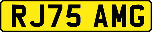 RJ75AMG