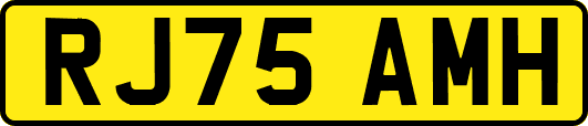 RJ75AMH