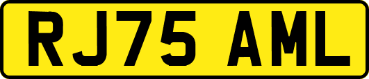 RJ75AML