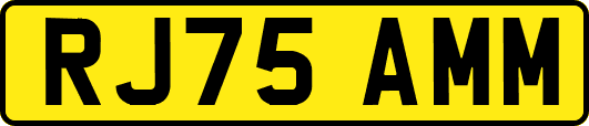 RJ75AMM