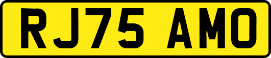 RJ75AMO