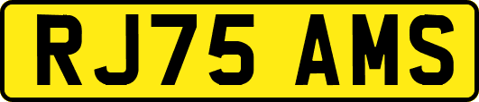 RJ75AMS