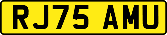 RJ75AMU