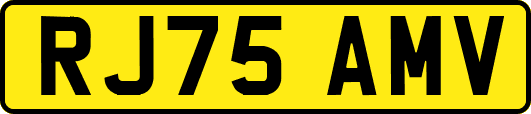 RJ75AMV