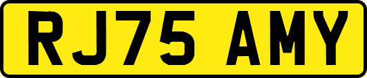 RJ75AMY