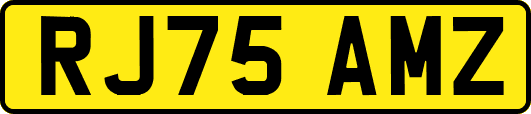 RJ75AMZ