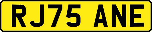 RJ75ANE