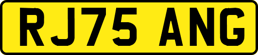 RJ75ANG